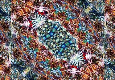 《饿狼传说City of the Wolves》 2025年2月20日β版公测